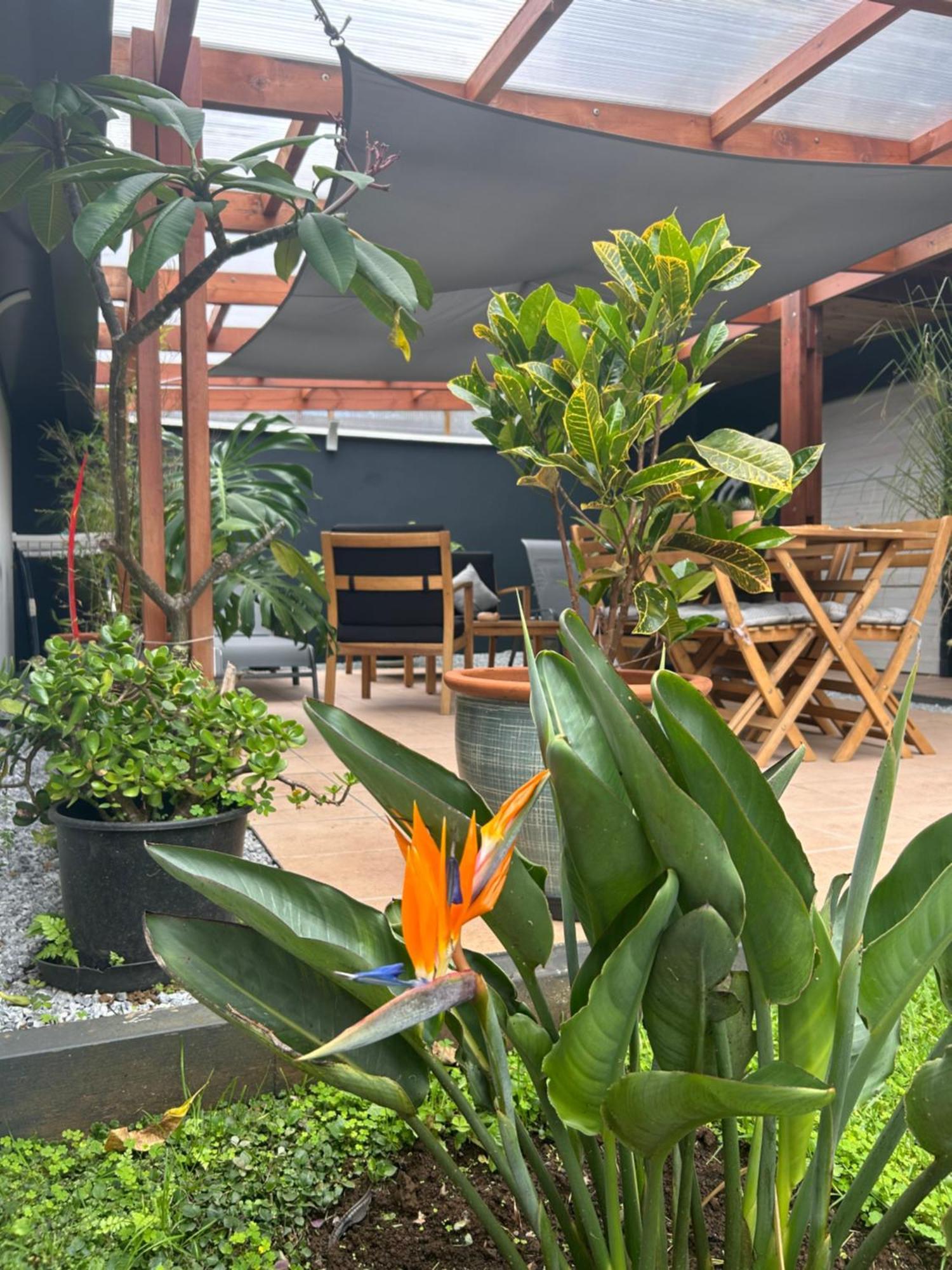 Vulkan'O La Plaine des Cafres Exterior foto